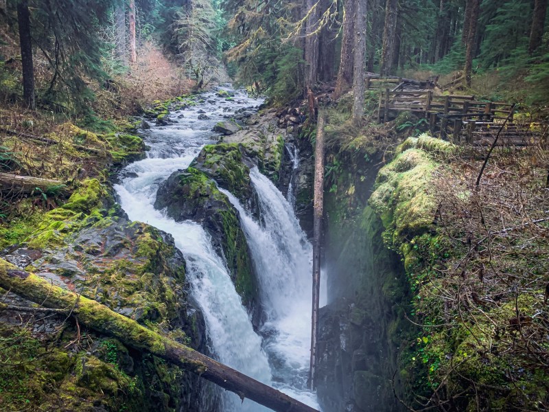 Best Day Hikes In Olympic National Park