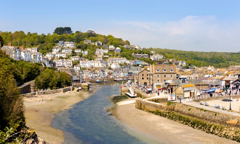 Best Dog Friendly Beaches Near Looe