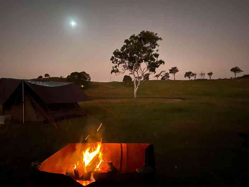 Best Dog Friendly Camping Qld