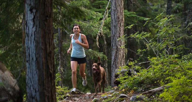 Best Dog Friendly Hikes In Us