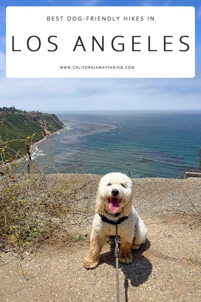 Best Dog Friendly Hikes