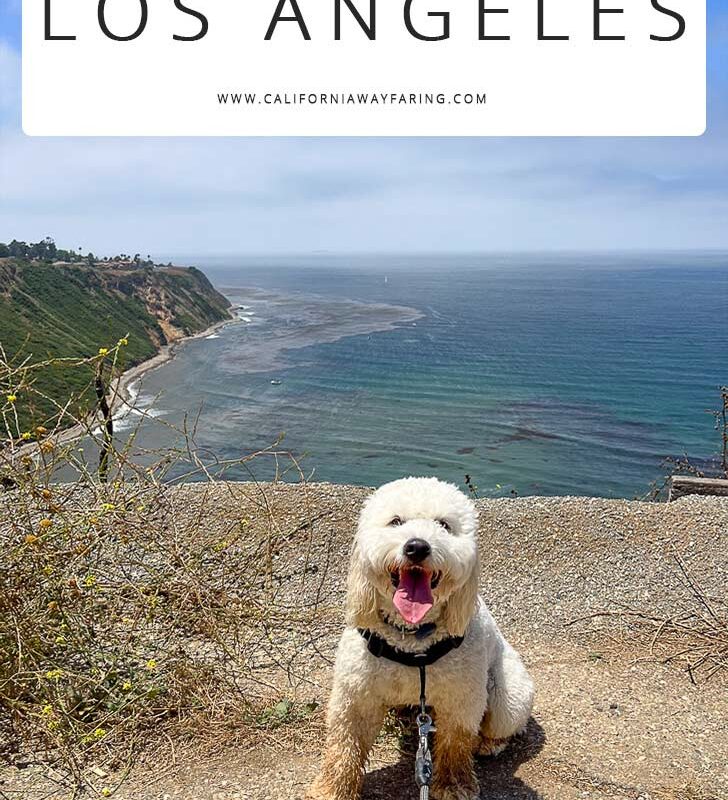 Best Dog Friendly Hikes