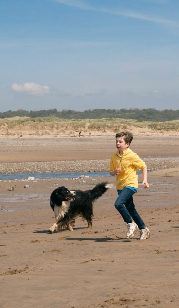 Best Dog Friendly Holidays Uk 2023