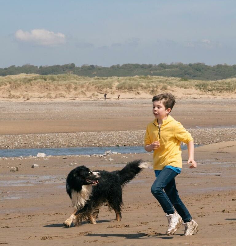 Best Dog Friendly Holidays Uk 2023