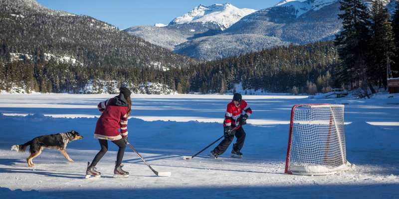 Best Dog Friendly Mountain Towns