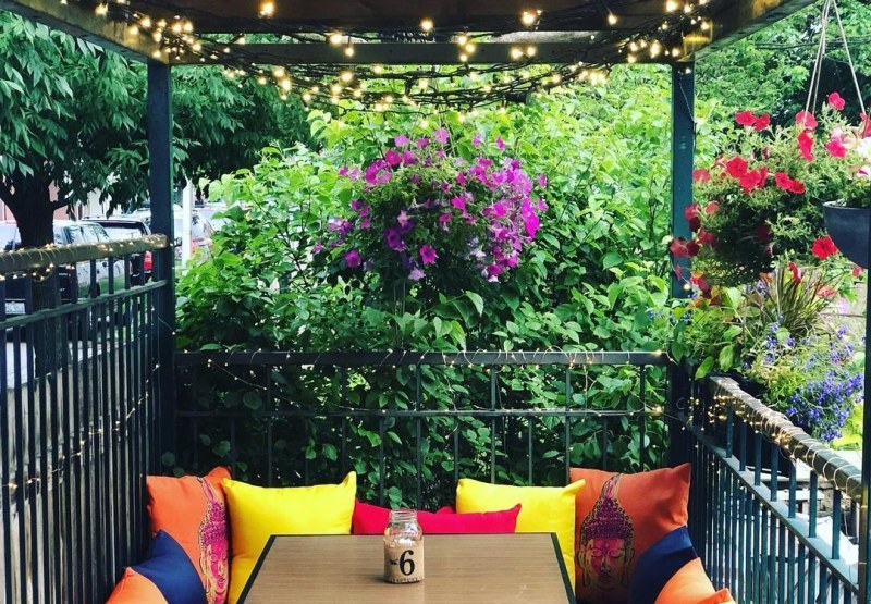 Best Dog Friendly Patios Chicago