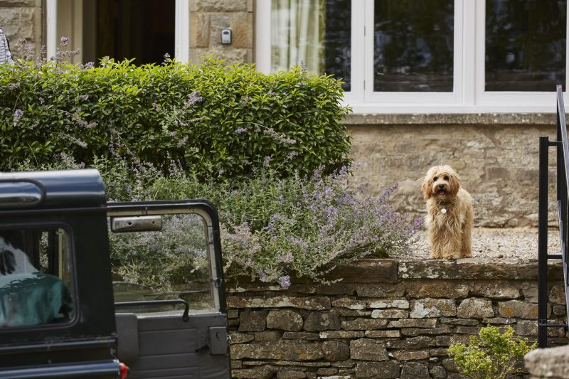 Best Dog Friendly Pubs Yorkshire