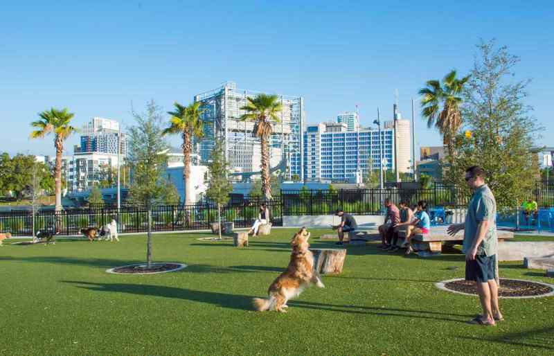 Best Dog Friendly Resorts Usa