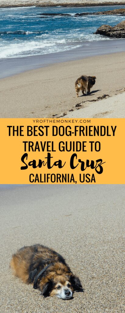 Best Dog Friendly Vacations East Coast