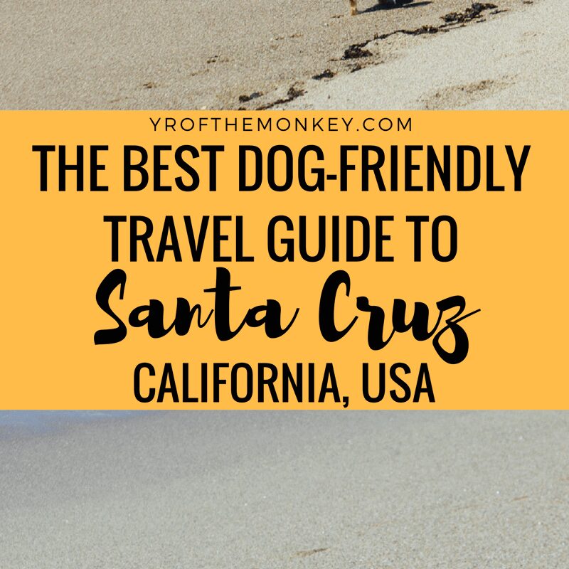 Best Dog Friendly Vacations East Coast