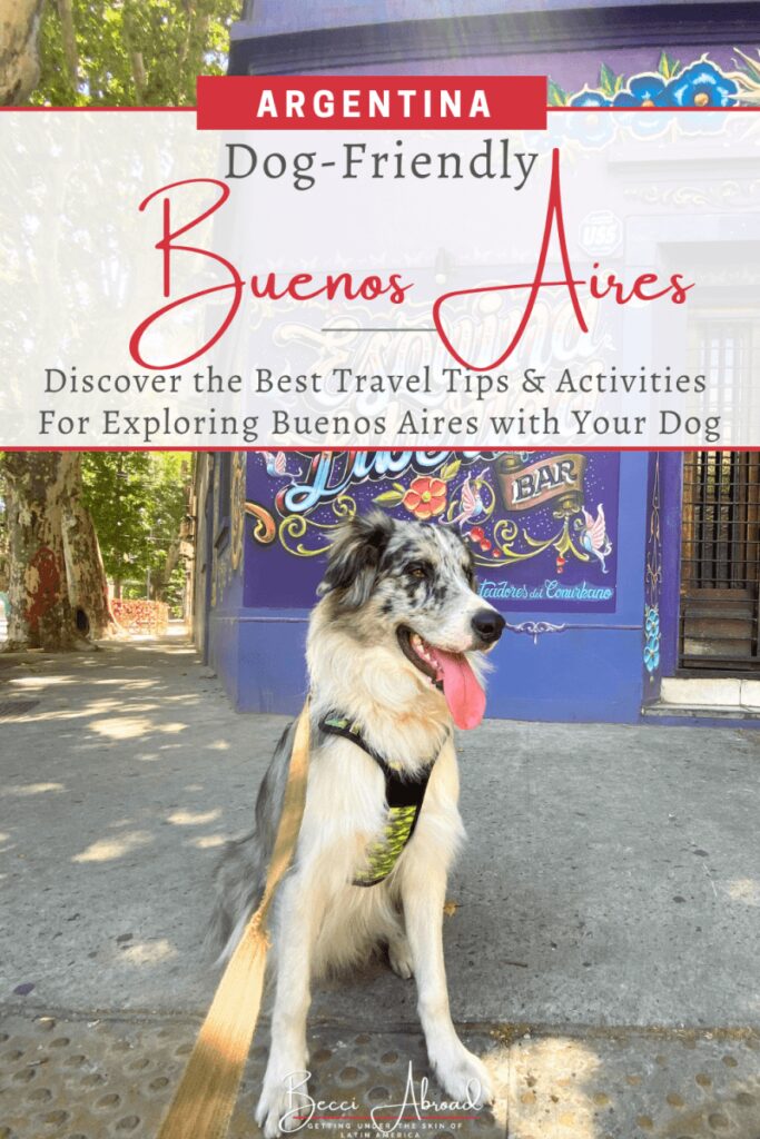 Best Dog Friendly Vacations Usa