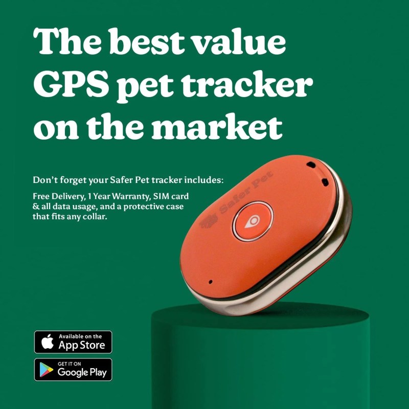 Best Dog Location Tracker