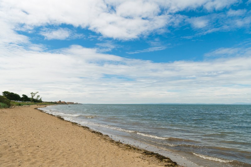 Dog Friendly Beaches East Lothian