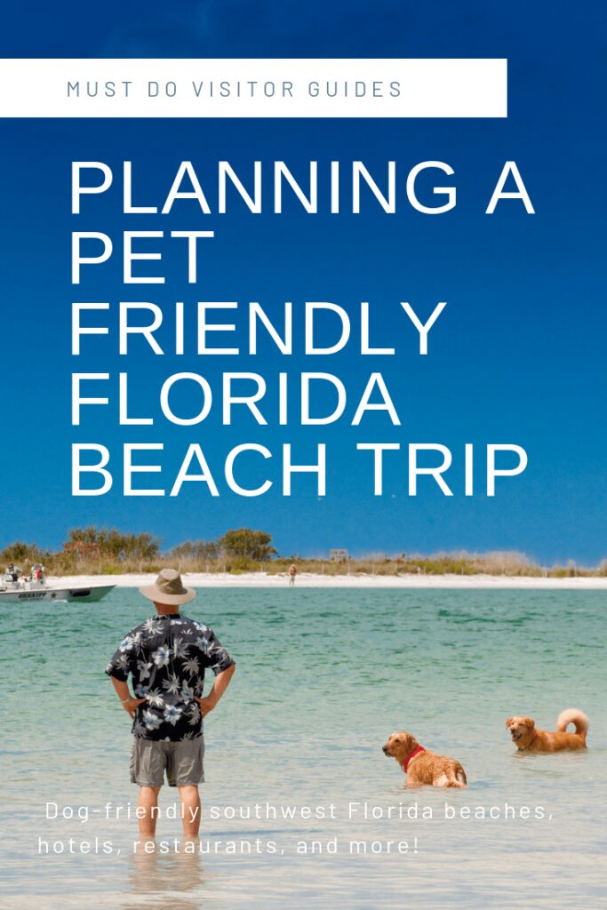 Dog Friendly Beaches On East Coast Of Florida