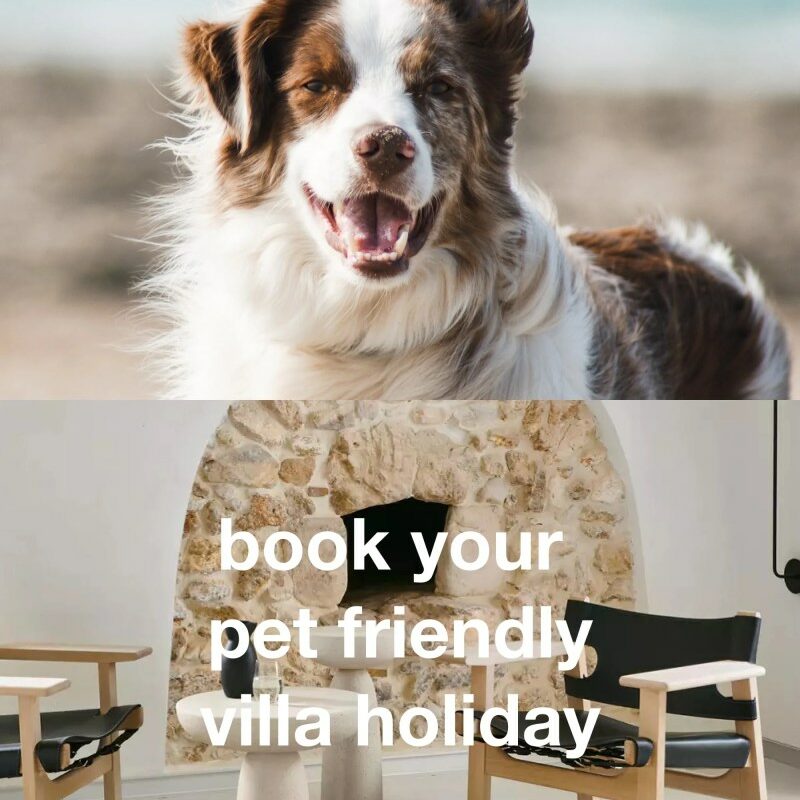 Dog Friendly Holidays Europe