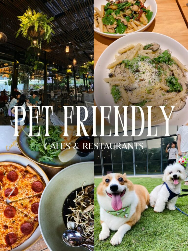 Dog Friendly Places To Visit Near Me