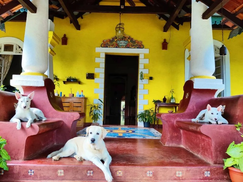 Dog Friendly Resorts Bangalore