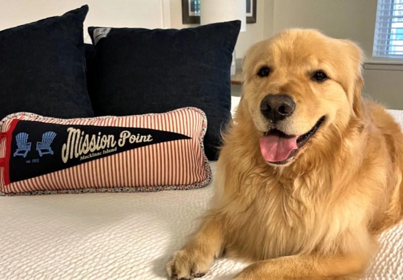 Dog Friendly Resorts Michigan