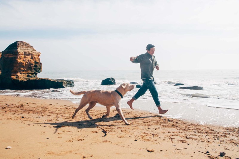 Dog Friendly Vacations In North Carolina