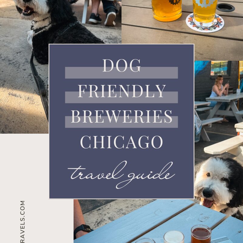 Dog Friendly Vacations Near Chicago