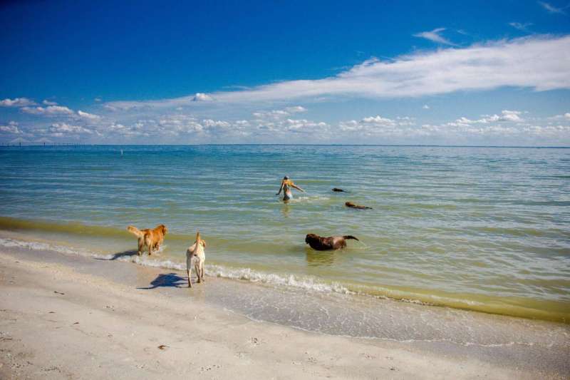 Dog Friendly Vacations Southeast