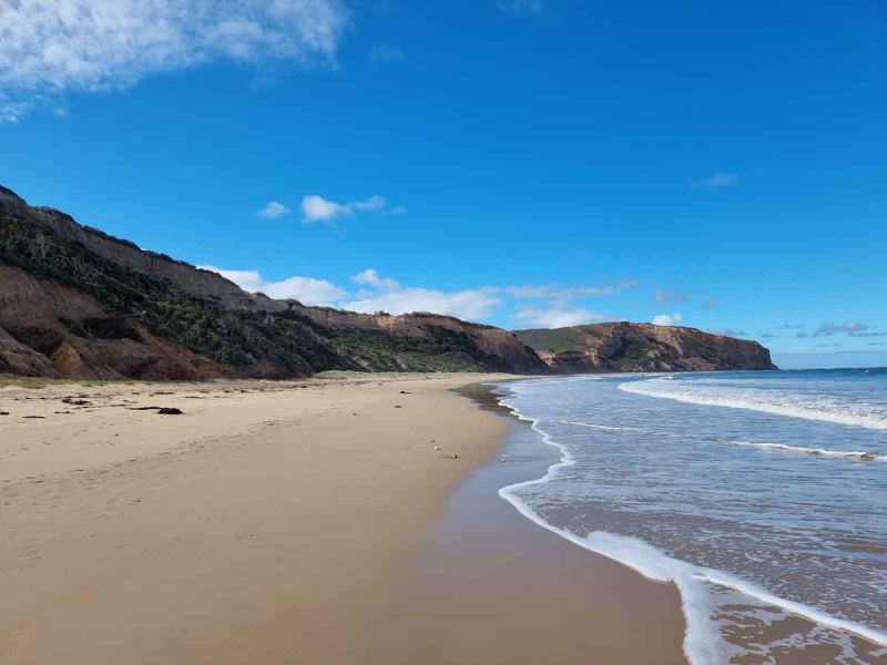 Most Dog Friendly Beaches East Coast