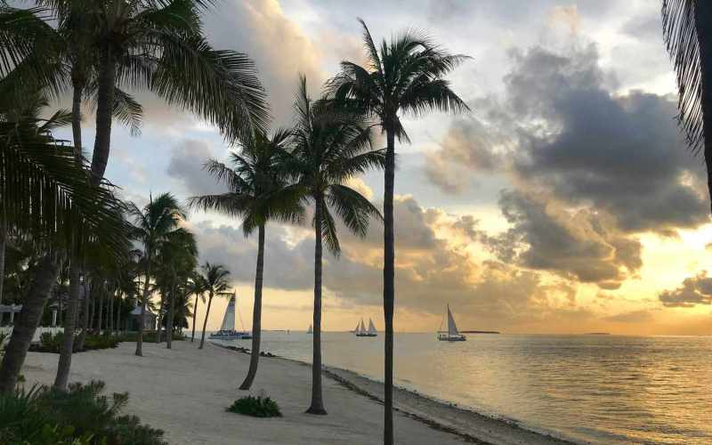 Pet Friendly Resorts Florida Keys