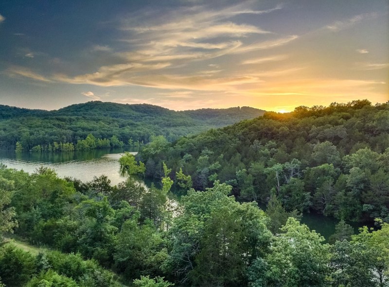 Pet Friendly Resorts Near Branson Mo