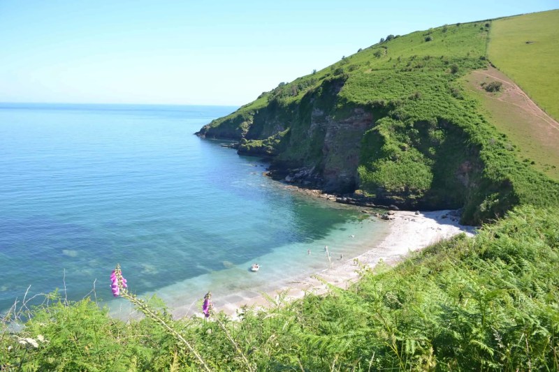 Best Dog Friendly Beaches East Devon