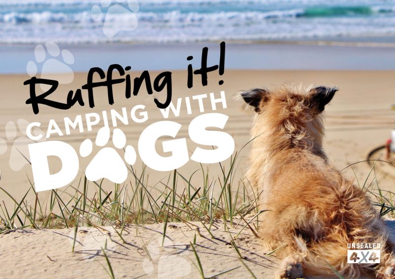 Best Dog Friendly Camping Nsw