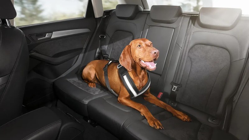 Best Dog Friendly Cars