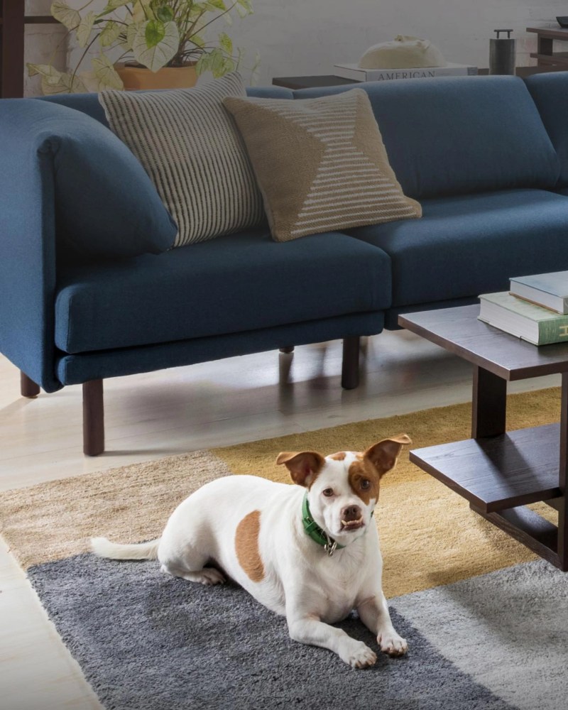 Best Dog Friendly Couches