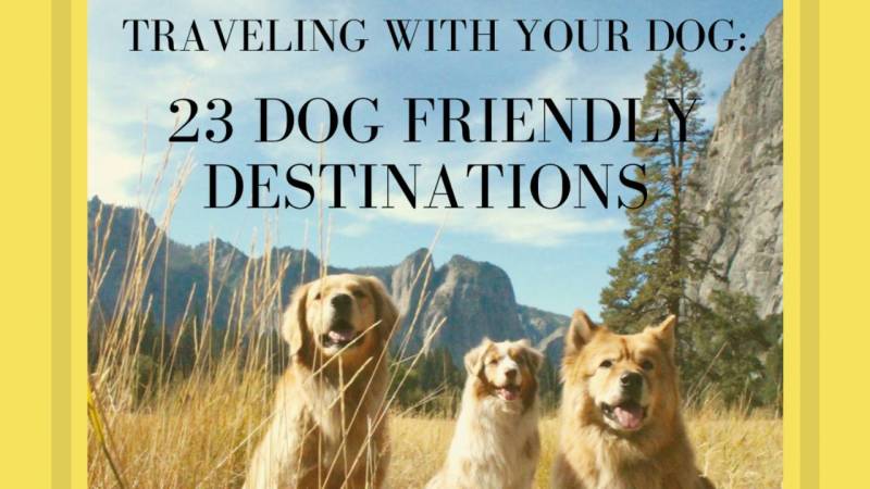 Best Dog Friendly Destinations