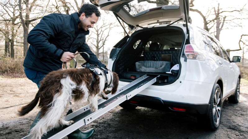 Best Dog Friendly Electric Cars