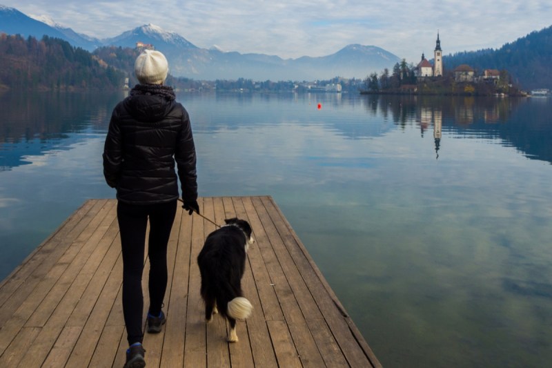 Best Dog Friendly Mountains Lake District