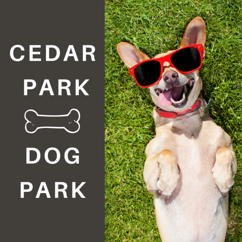 Best Dog Friendly Parks Near Me