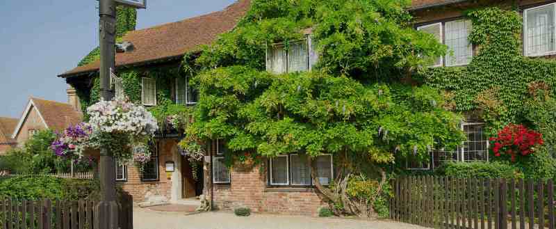 Best Dog Friendly Pubs New Forest