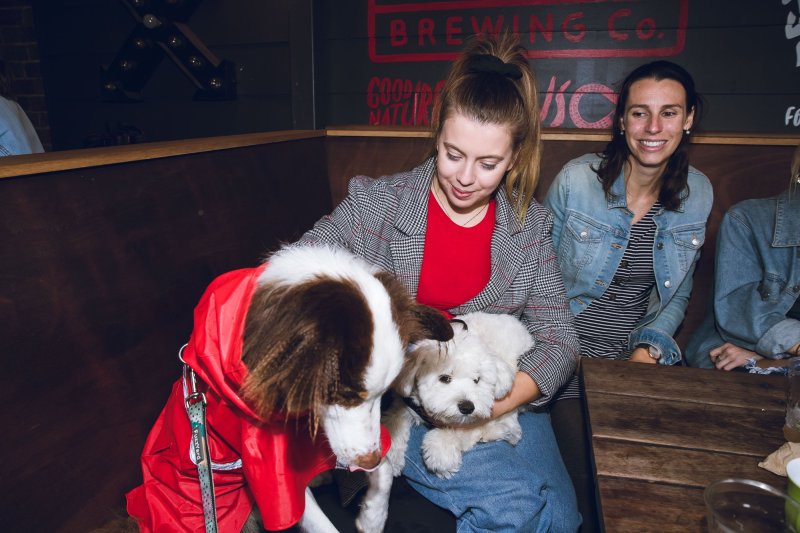 Best Dog Friendly Pubs Sydney