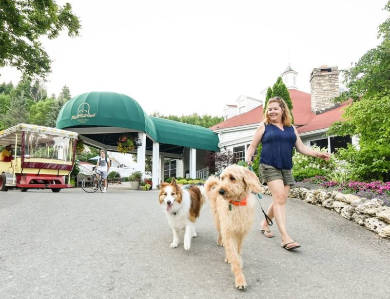 Best Dog Friendly Resorts In Us