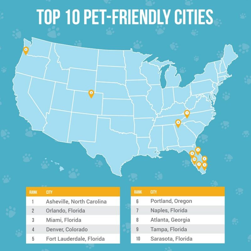 Best Dog Friendly Towns Near Me