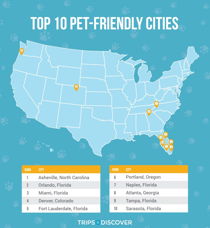 Best Dog Friendly Towns Near Me