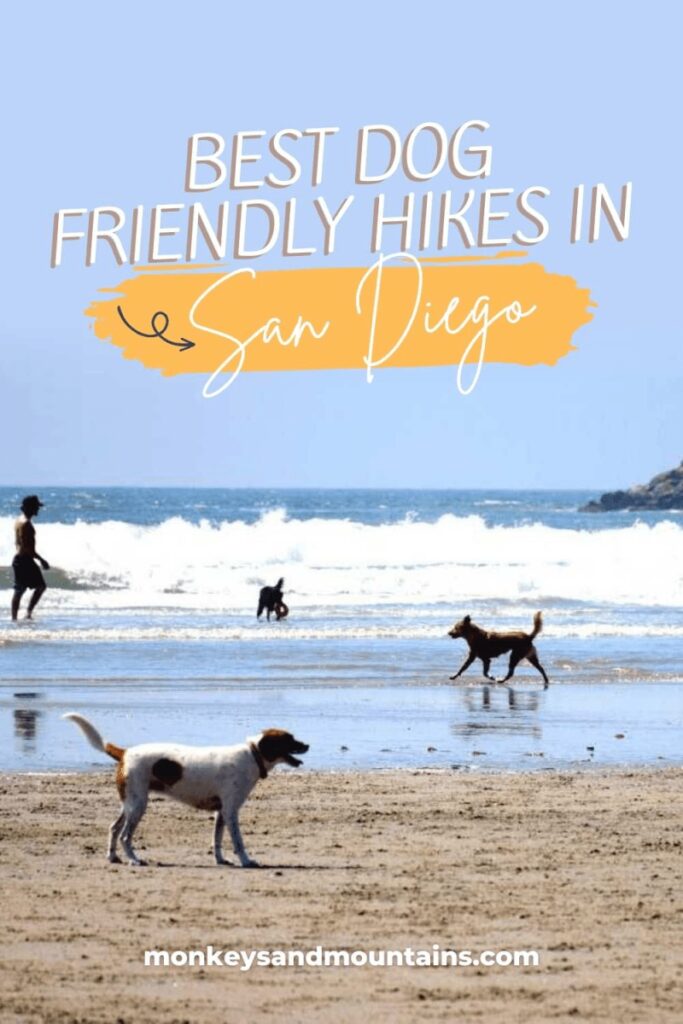 Best Dog Friendly Trails Near Me