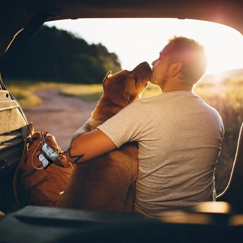 Best Dog Friendly Vacations On The East Coast