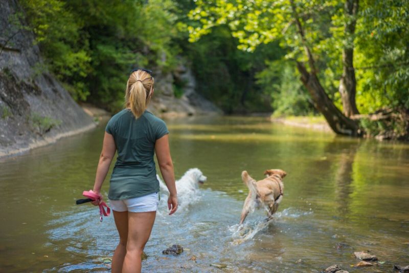 Best Dog Vacation Spots