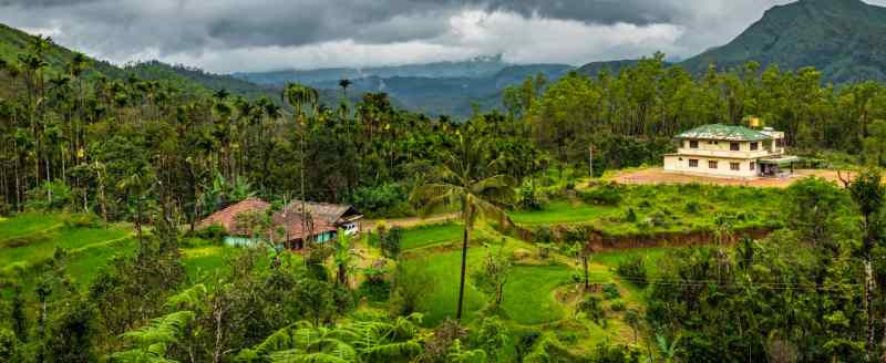 Best Pet Friendly Resorts In Coorg