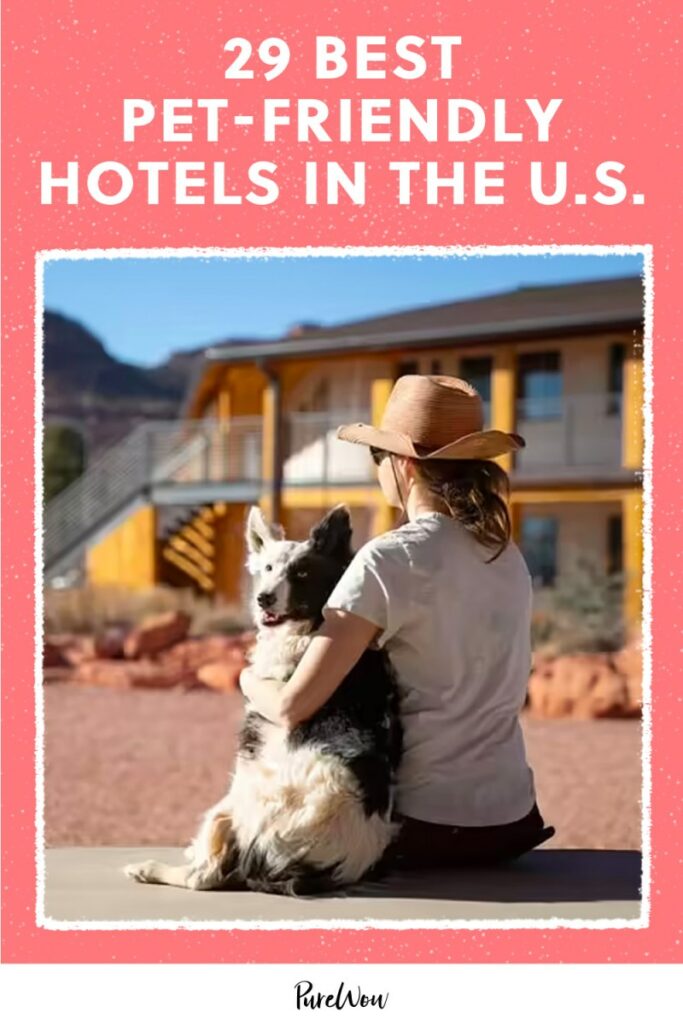 Best Pet Friendly Resorts In The Us