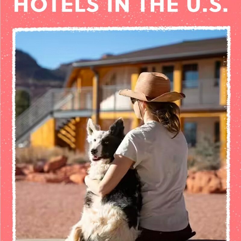 Best Pet Friendly Resorts In The Us