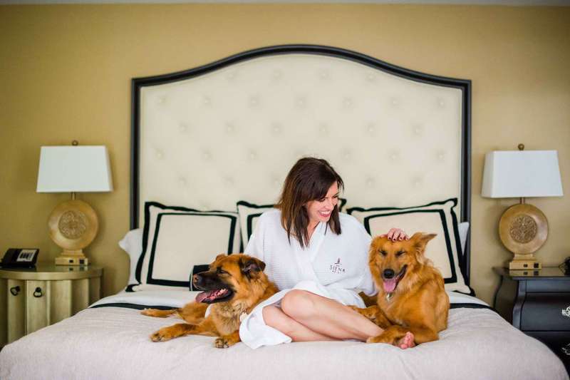 Best Pet Friendly Vacations East Coast