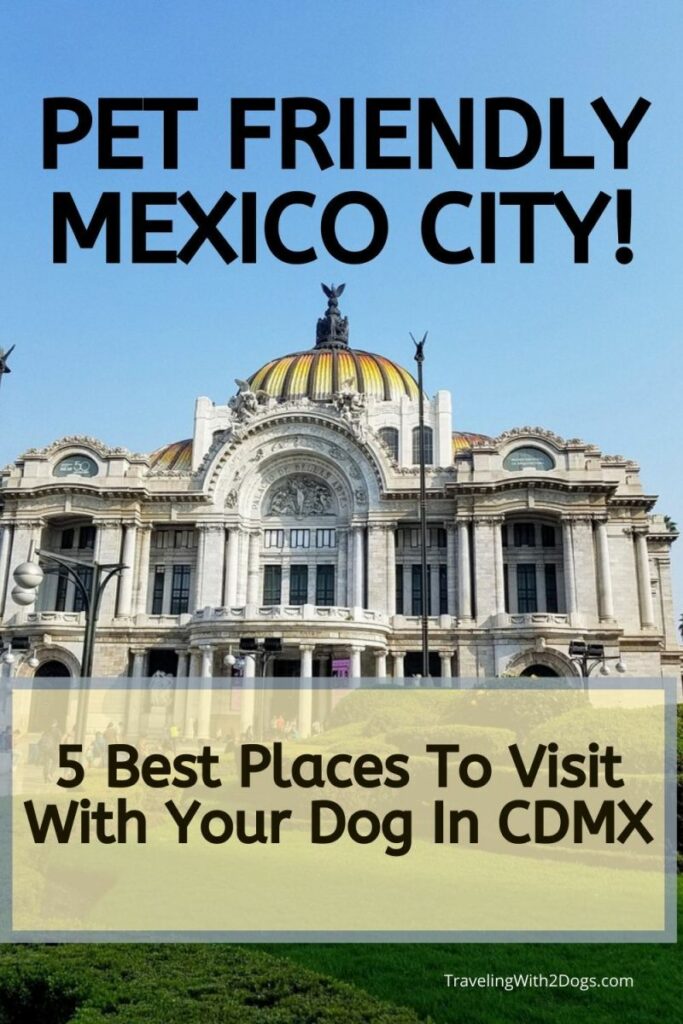 Best Places To Vacation With Your Dog