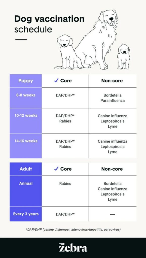 Dog Flu Vaccine Near Me